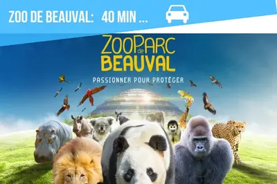 Animaux dans la maison de vacances ou à proximité