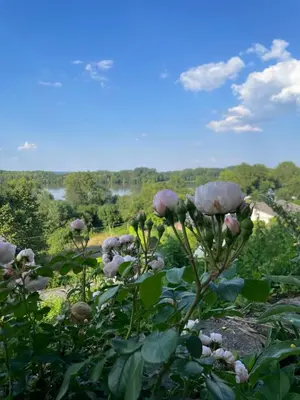 Paysage naturel près de la maison de vacances
