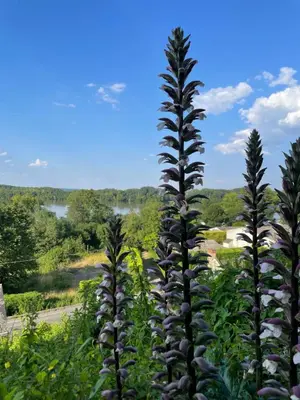 Paysage naturel près de la maison de vacances