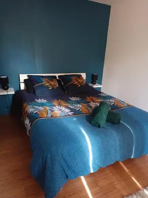 Un ou plusieurs lits dans un hébergement de l'établissement Petite maison étape Loire à vélo ou Compostelle