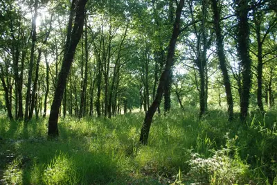 Paysage naturel près de l'appartement