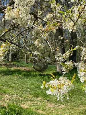 Jardin de l'établissement Domaine de La Soudelle