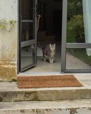 Animal ou animaux domestique(s) séjournant avec des clients dans l'établissement Domaine de La Soudelle