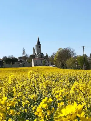 Jardin de l'établissement Aux Acacias