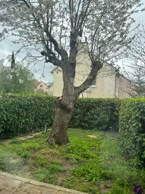 Jardin de l'établissement Maison familiale, quartier calme