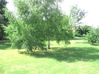 Jardin de l'établissement La Maison Tournesol - 3 bedroom house with large garden near Saumur
