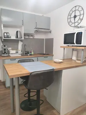 Cuisine ou kitchenette dans l'établissement Superbe T2 proche cathédrale et Loire