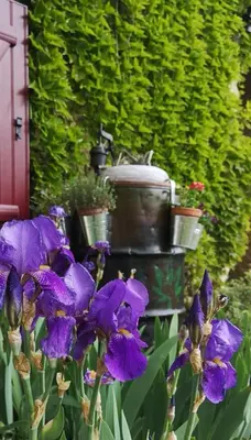 Jardin de l'établissement la Ferme du Grand Bois