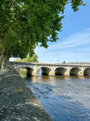 Vue sur la rivière ou le fleuve situé(e) à proximité de l'appartement