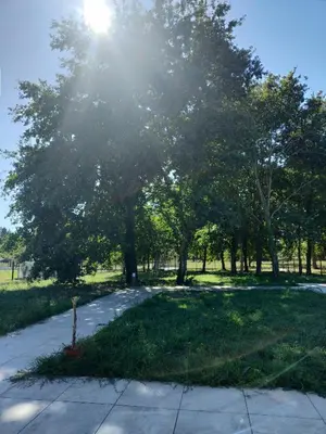 Jardin de l'établissement Maison moderne a 1km du circuit des 24h du mans