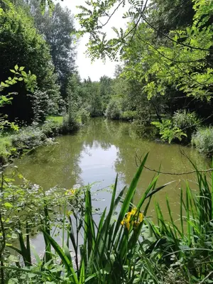 Paysage naturel près de la maison de vacances