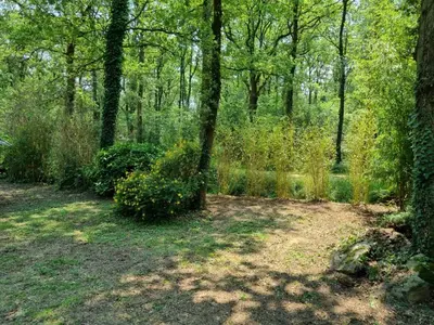 Jardin de l'établissement Les Chalets de SAUMUR, Piscine & Parc boisé, 100m du CadreNoir