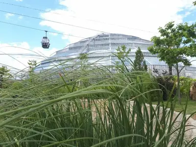 Jardin de l'établissement Zoo Zen 6 pers, au coeur de St Aignan