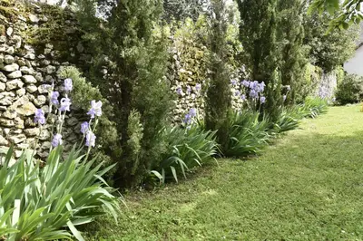 Jardin de l'établissement Chambres d'Hôtes L'Hermine Vineuil
