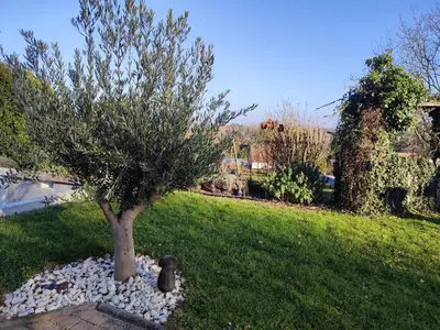 Jardin de l'établissement chambre chez l'habitant aux Basses Besnardières