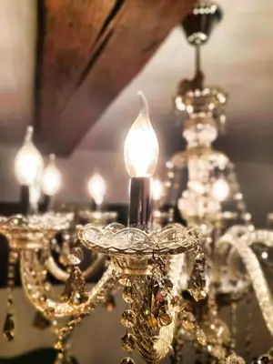 Plan de l'établissement Maison Royale - Idéalement située à Blois