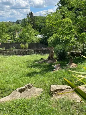 Jardin de l'établissement Les oiseaux du paradis