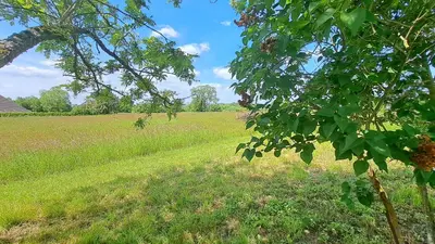 Jardin de l'établissement Maison tout confort proche Azay-le-Rideau 8 p