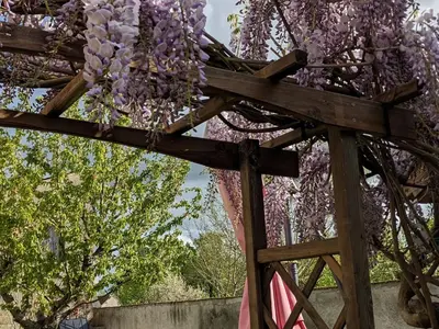 Jardin de l'établissement Maison charmante près de la ville - FR-1-410-386