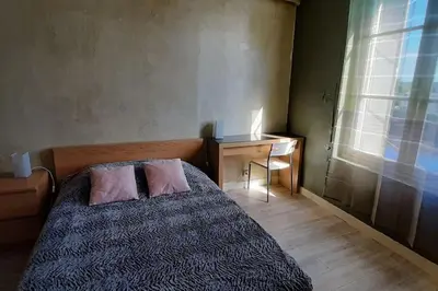 Un ou plusieurs lits dans un hébergement de l'établissement Vaste appartement LE FAMILY avec vue sur la Vienne