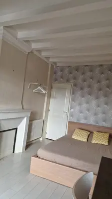 Un ou plusieurs lits dans un hébergement de l'établissement Vaste appartement LE FAMILY avec vue sur la Vienne