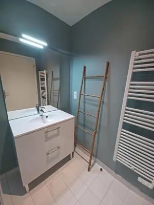 Salle de bains dans l'établissement Rêve de Loire gîte au calme au pied des châteaux de la Loire