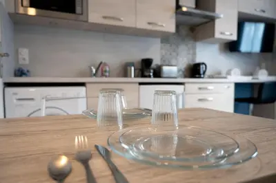 Cuisine ou kitchenette dans l'établissement Studio Grammont 3