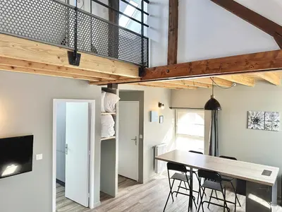Télévision ou salle de divertissement dans l'établissement Le Patio de Loiseau