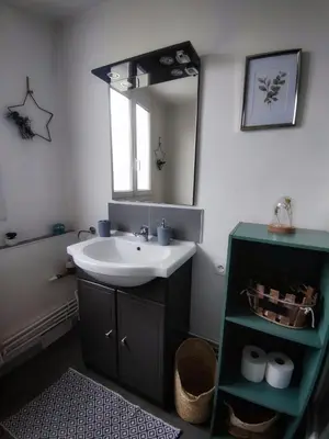 Salle de bains dans l'établissement Le char'Mans appartement cosy proche gare et tram