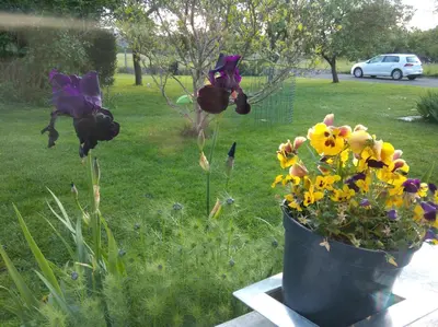 Jardin de l'établissement CHAMBRE D'HOTE A 15 MIN DU CIRCUIT DES 24H DU MANS