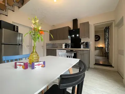 Cuisine ou kitchenette dans l'établissement Maison n°4 aux portes du Zoo de Beauval