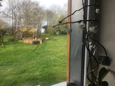 Jardin de l'établissement La Vannerie