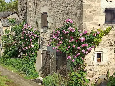 Jardin de l'établissement les trois grandes portes