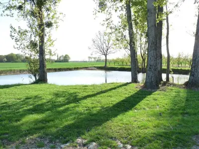 Paysage naturel près de la maison de vacances