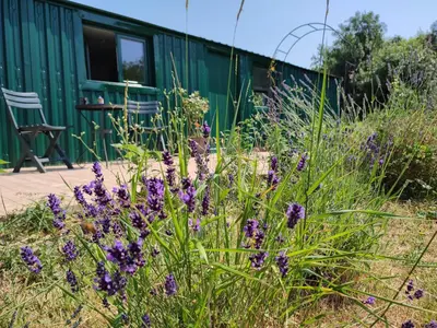 Jardin de l'établissement Gîte insolite La Renouée