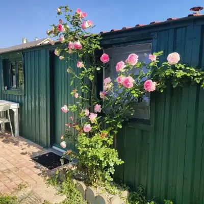 Gîte insolite La Renouée