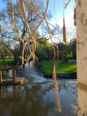 Vue sur la rivière ou le fleuve situé(e) à proximité de la maison de vacances