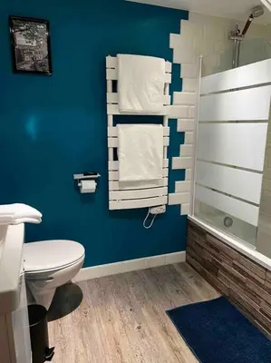 Salle de bains dans l'établissement La Petite Rochambelle (hyper centre-ville)