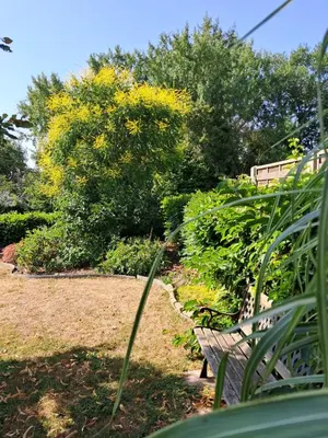 Jardin de l'établissement Loge'Mans
