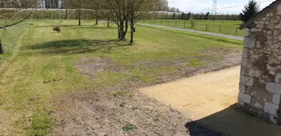 Jardin de l'établissement le logis de la forêt