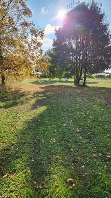 Jardin de l'établissement le logis de la forêt