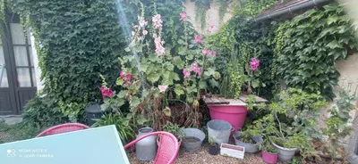 Jardin de l'établissement Le Relais des Fontaines