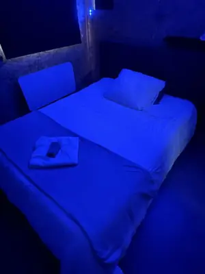 Un ou plusieurs lits dans un hébergement de l'établissement Studio avec terrasse et parking au Mans