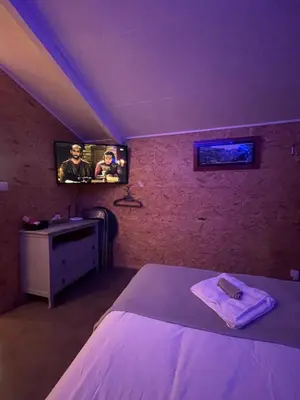 Télévision ou salle de divertissement dans l'établissement Studio avec terrasse et parking au Mans