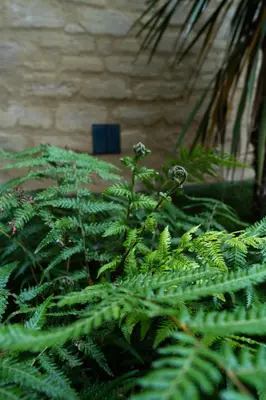 Jardin de l'établissement Suite troglodyte & spa privé - Luxe et détente